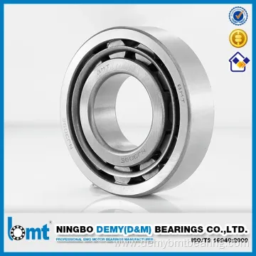 Cylindrical Roller Bearings Nu305e